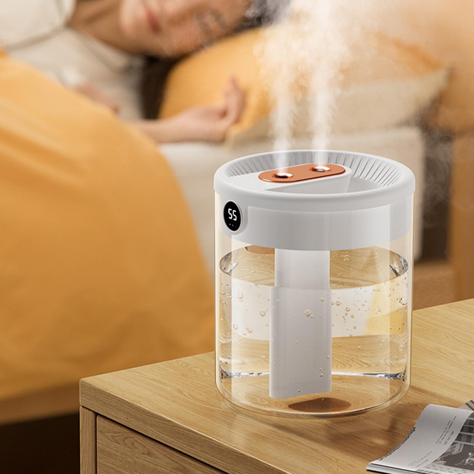 Amazon.com: 2L Double Nozzle Air Humidifier Double Spray